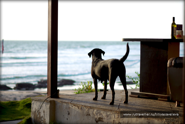 photo 1040687