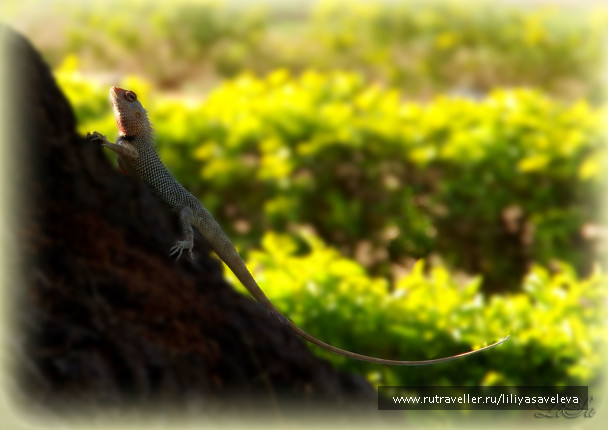 photo 1258364