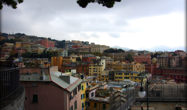 1IMGP3644