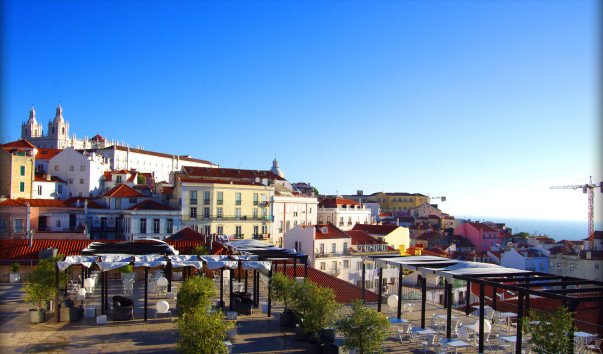 1IMGP5317