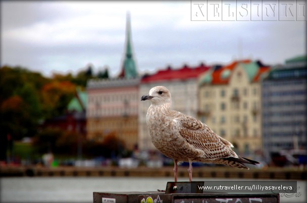 photo 1398293