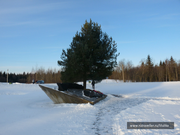 photo 480427