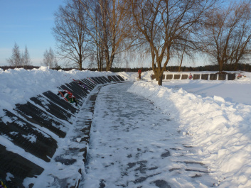 photo 480431