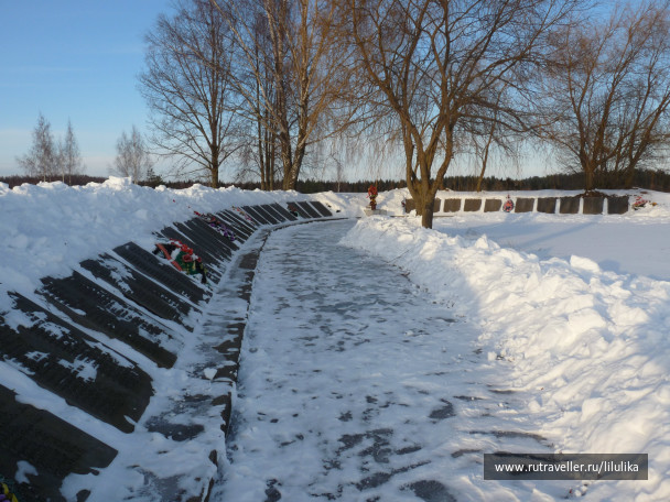 photo 480431