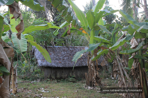 photo 1244722