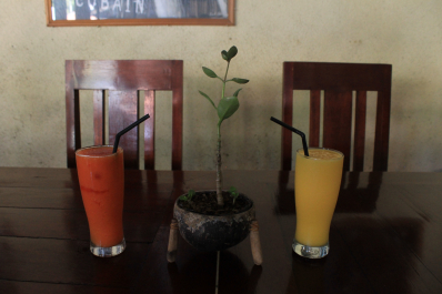 photo 1244729