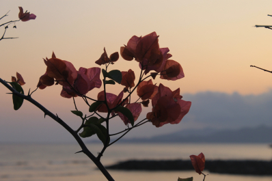 photo 1244732