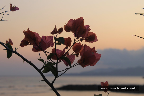 photo 1244732