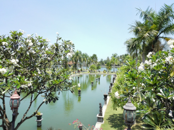 photo 1244741