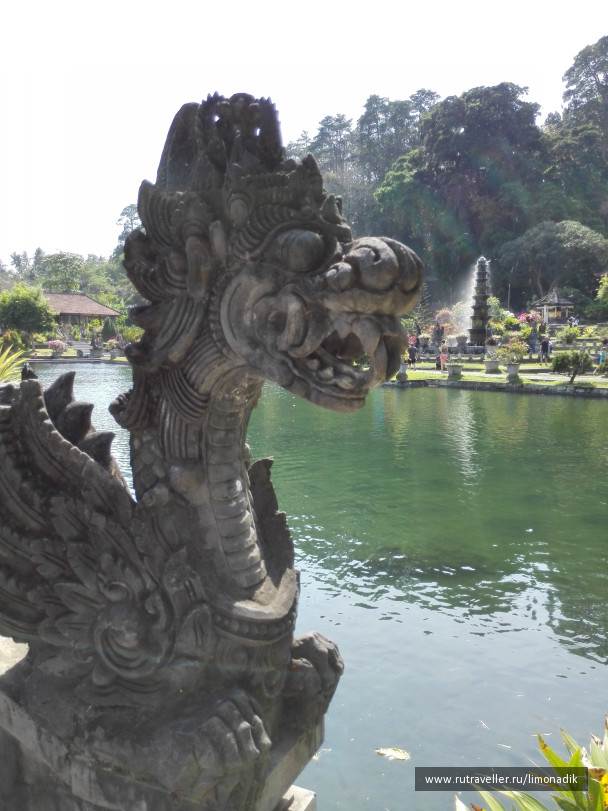 photo 1244753
