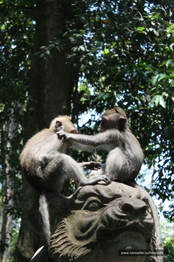 photo 1244940