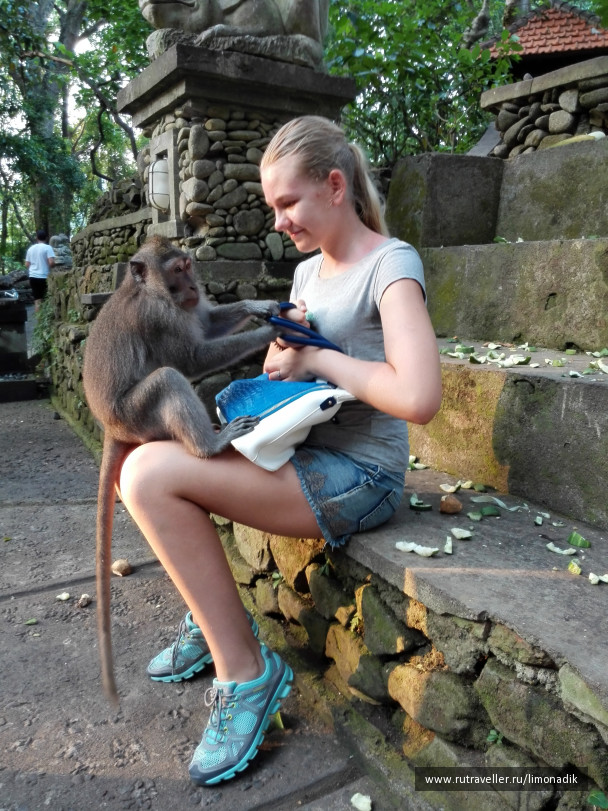 photo 1244947