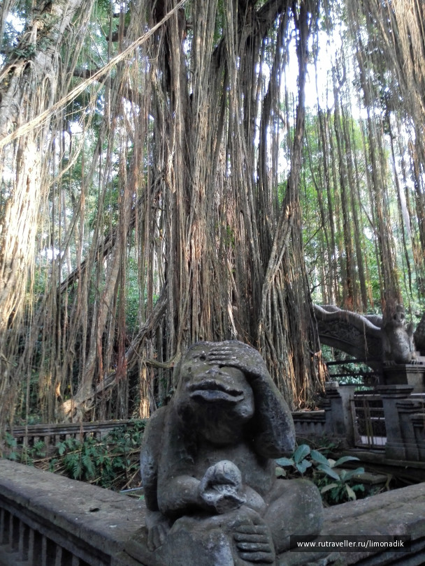 photo 1244952