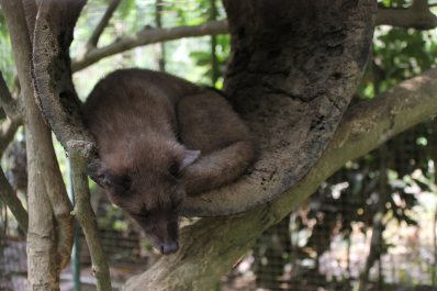 photo 1245024