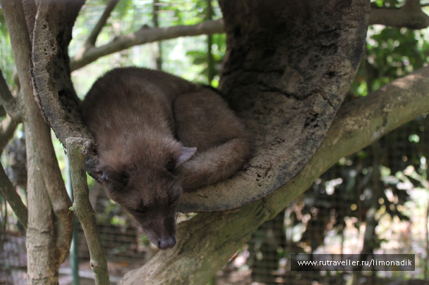 photo 1245024