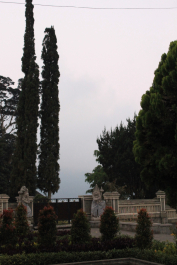photo 1245139
