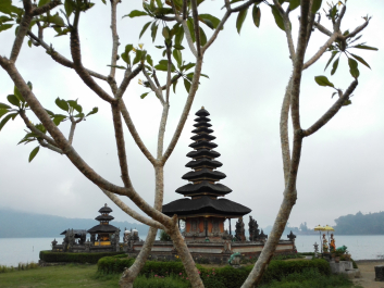photo 1245149