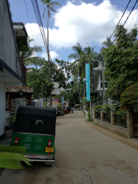 photo 1453859