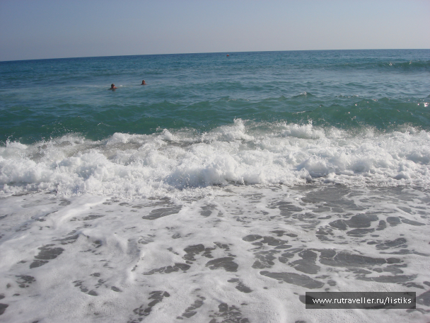 photo 1502242