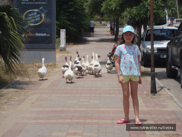 photo 1502593