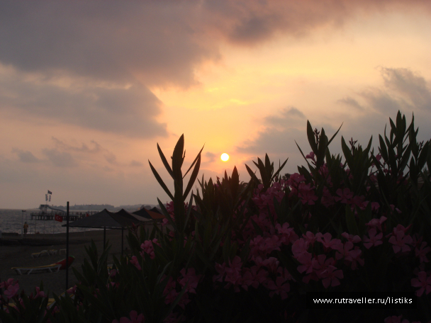 photo 1502594