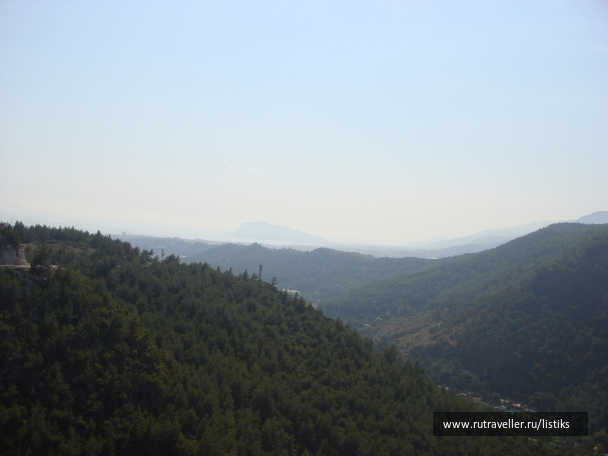 photo 1502604