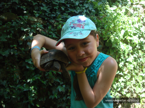 photo 1502613