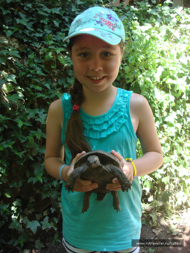 photo 1502614