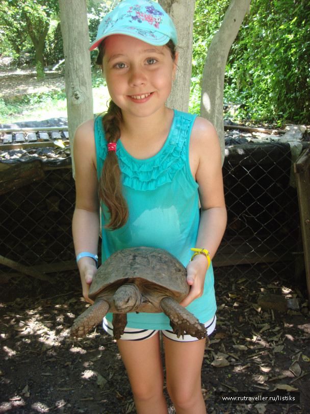 photo 1502616
