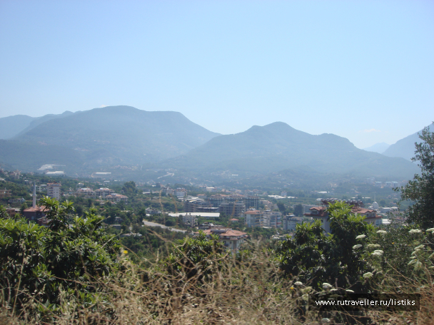 photo 1502620
