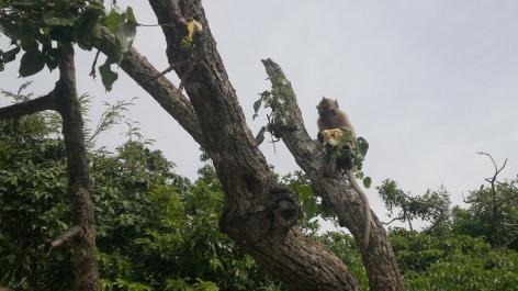 photo 649676