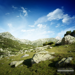 photo 374302
