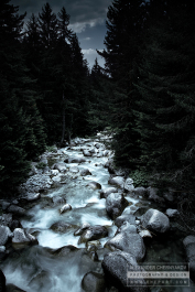 photo 374329