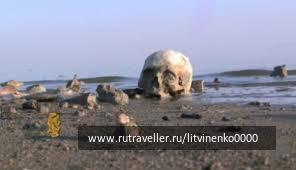photo 1496939