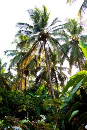 photo 1438398