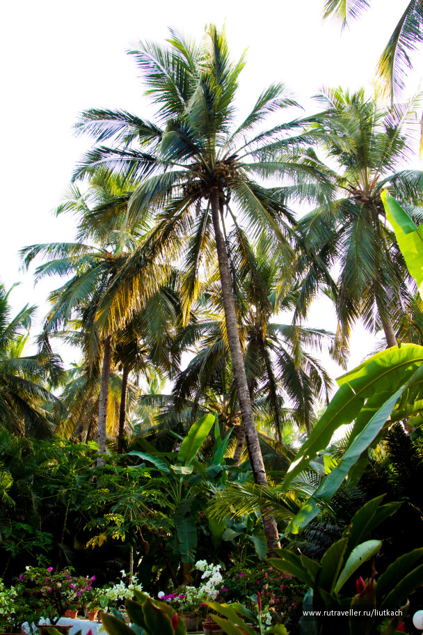 photo 1438398