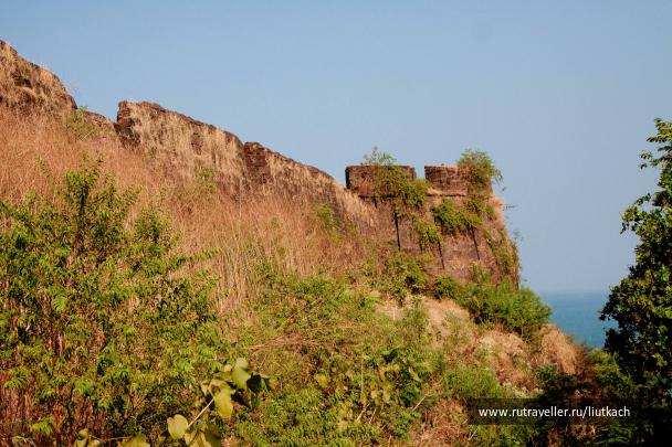 photo 1439515