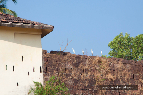 photo 1439516