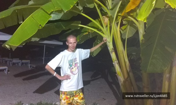 photo 1502378