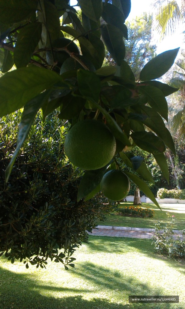 photo 1502383