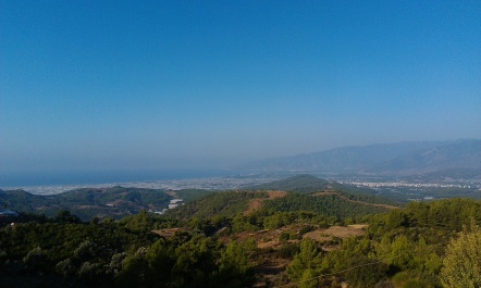 photo 1502387