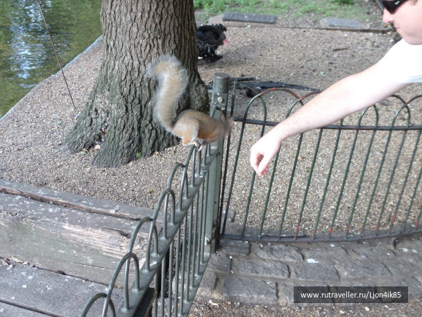 photo 1502437