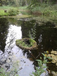 photo 1502479