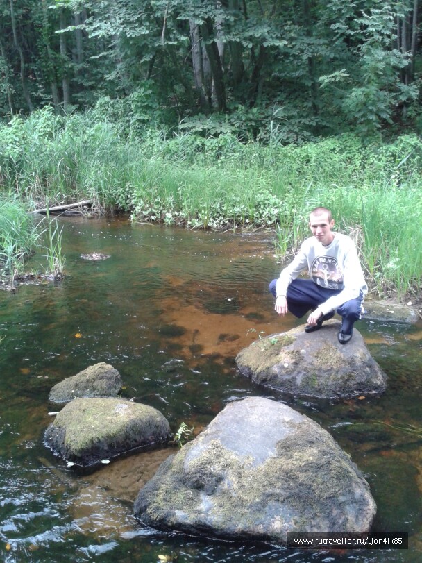 photo 1502480