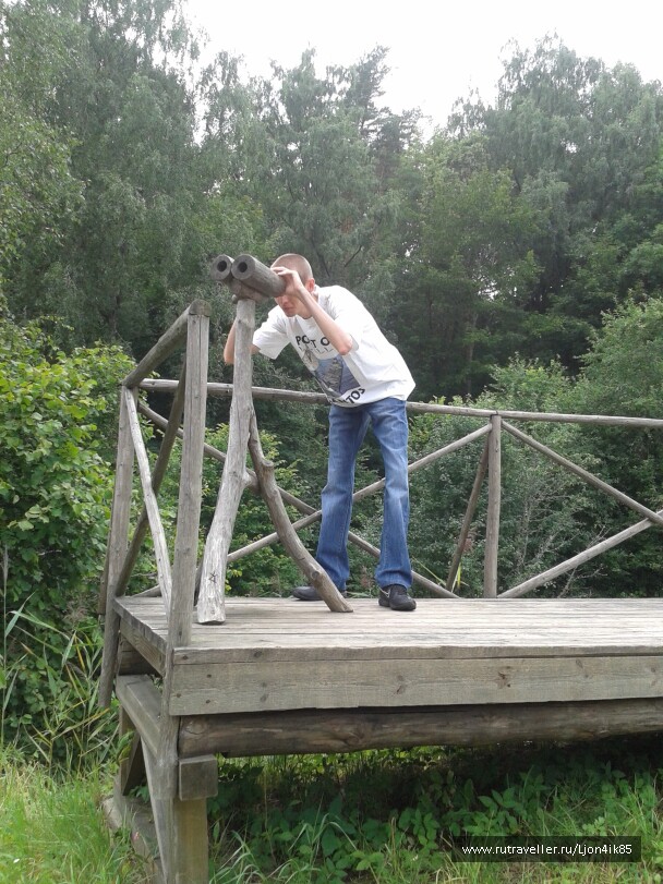 photo 1502493
