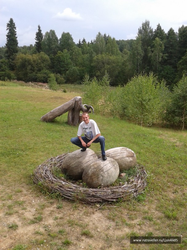photo 1502495