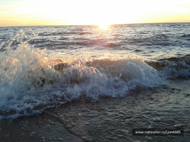 photo 1502501
