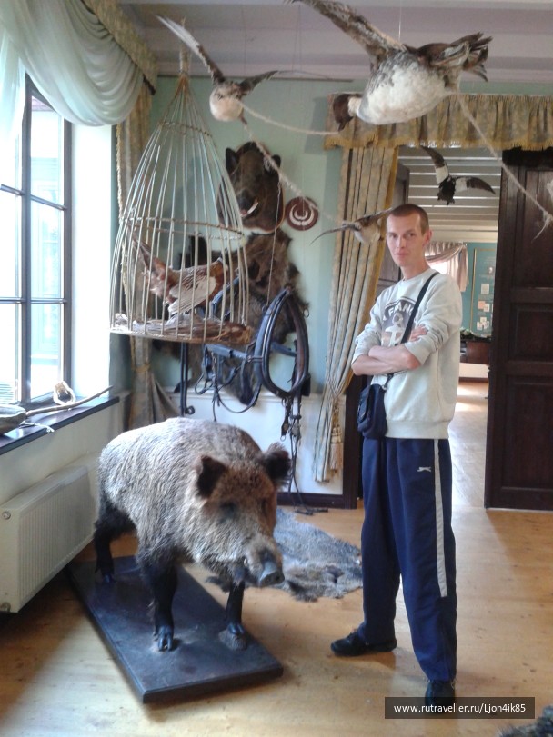 photo 1502503