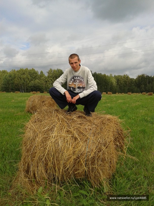 photo 1502505