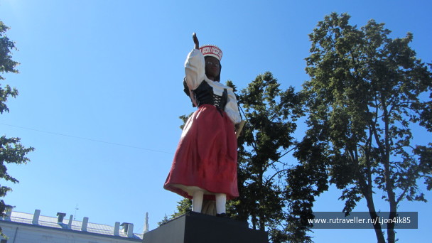 photo 1502516